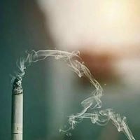 Xstylish Šüshañt Vêrmä