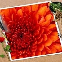 Haddadnoureddin Belhaj