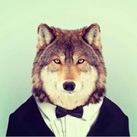 Игорь Шаповалов