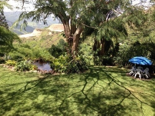 Oswaldo Tortoledo M.