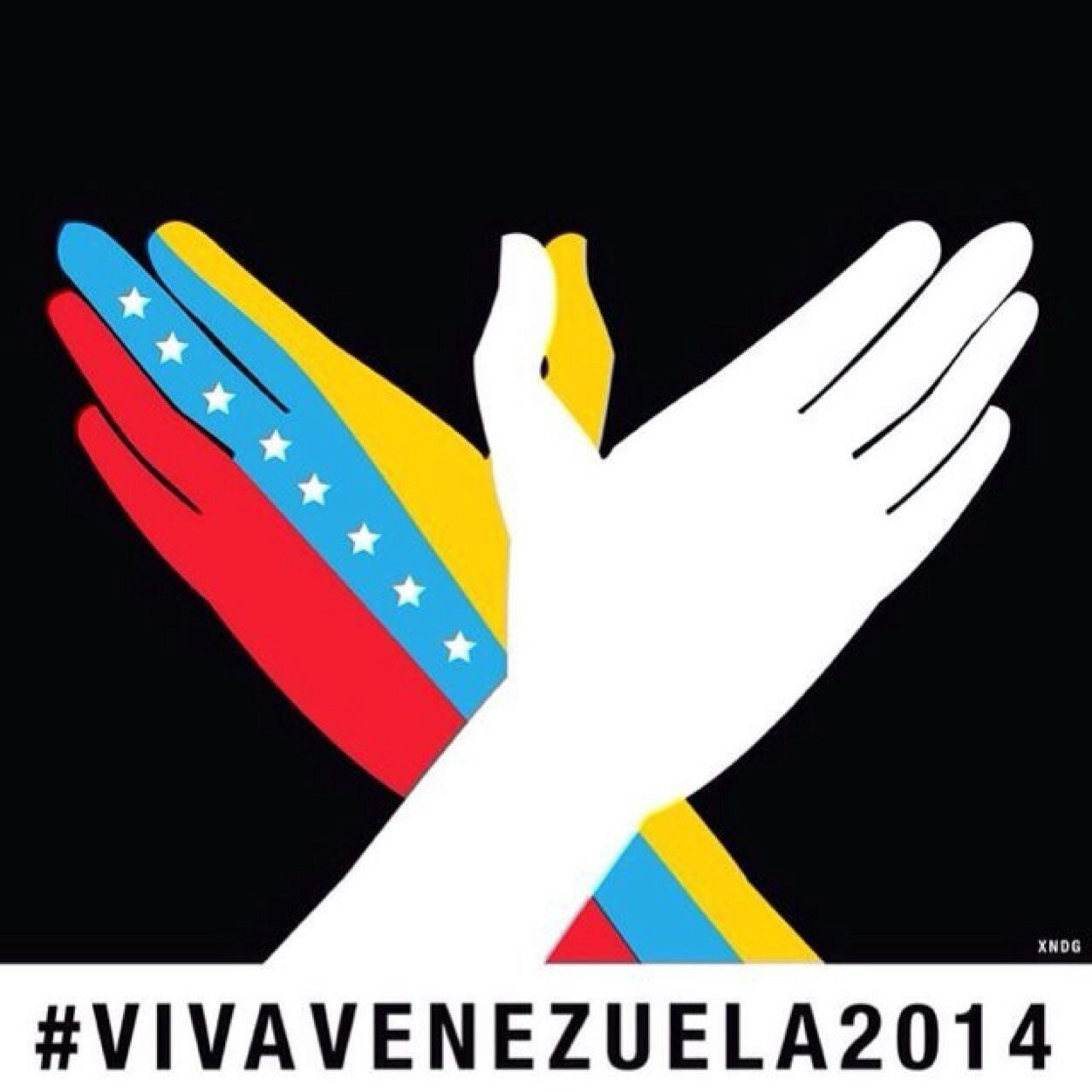 Francisco R. Neri P.