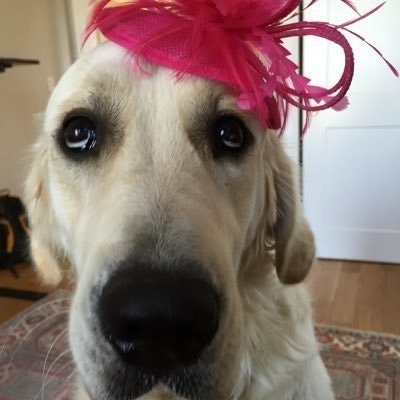 Katie Jacobs Stanton & Wendy McKennon