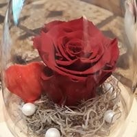 Brîndas Ghita Mirela