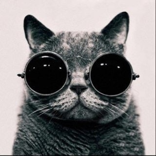 Regimantas Kavolynas