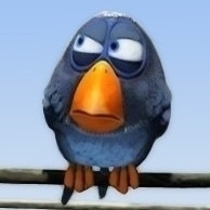 Seçkin Anıl Ünlü