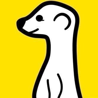 Meerkat Retweets