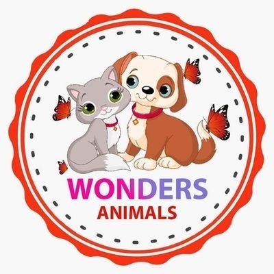 Wonder Animals