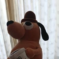 Mirko Gonzalez Vasquez