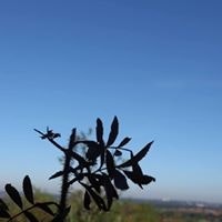 Andrés Oliva Y Hausmann