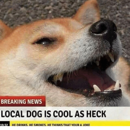 DankDogeHD