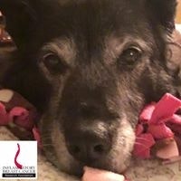 Barb St Clair-Borrero