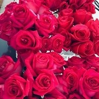 Беллона Венус