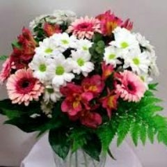 Isamar Andreina Marquez Araujo