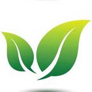 Hút bể phốt khoán