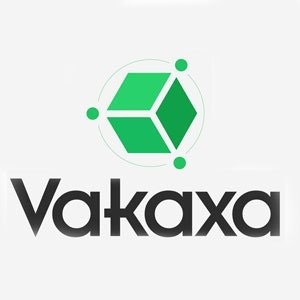 Vakaxa Company - Blockchain solutions