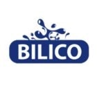 Hàng rào đẹp Bilico