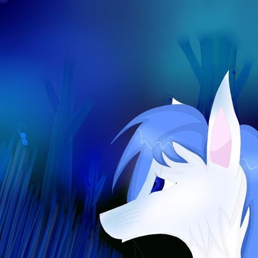 Elizabeth Josefina Azuaje Jimenez