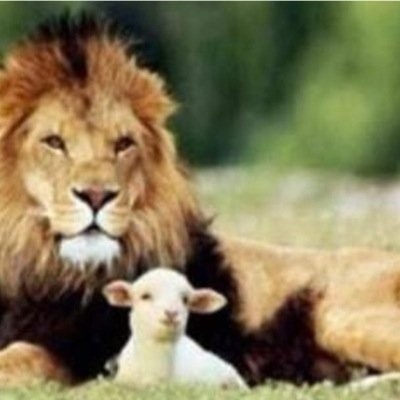 JUNICHI JAMES YASUDA