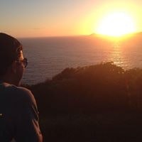 Pedro Ivo Fernandes Campos