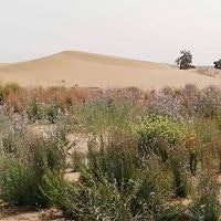 Sahara Tour Tour Sahara