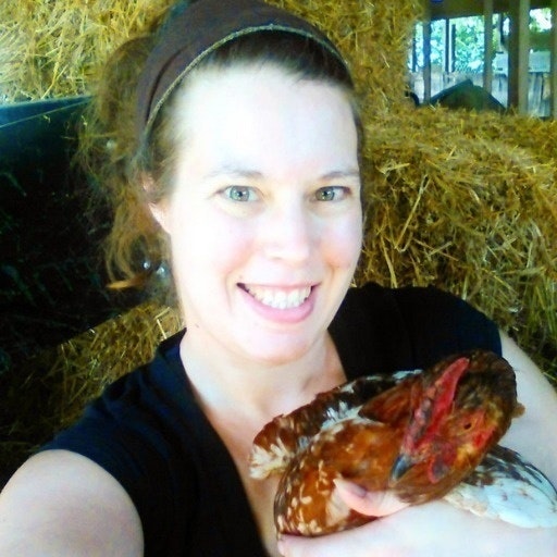 TheFrugalChicken.Com