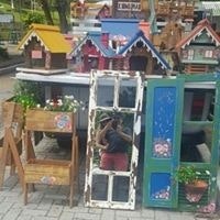 Maria Alejandra Quinteros Lopez