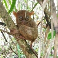 Monica Stephanie Moreno