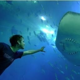 Jeremy Cohen hoffing