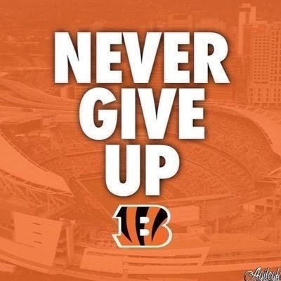 Bengals Fan Photos