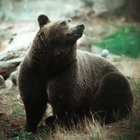 Наталя Жаловага