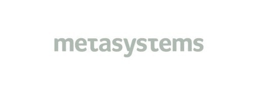 metasystems