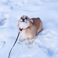 Miguel San Buenaventura