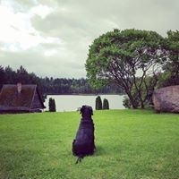 Liutauras Elkimavičius