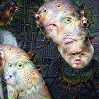 Mikael Carl Holmquist