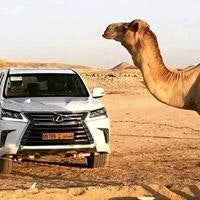 قناص وعيوني رصاص