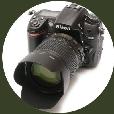 لقطة اليوم 🎥