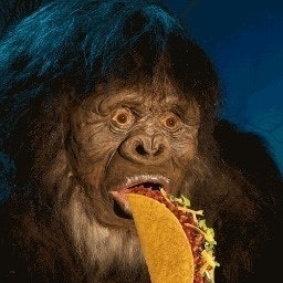 Taco gorrilla 