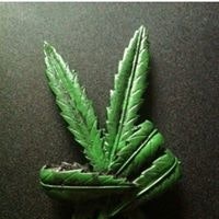 Muhammad Nazrin Khairol Salleh