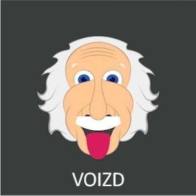 Voizd