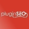 Plug in SEO