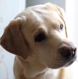 Yaroslav Klimovskikh