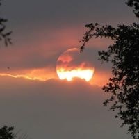 Charlotte Geiger Vallellanes