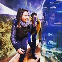 Gombos Carol Cristina