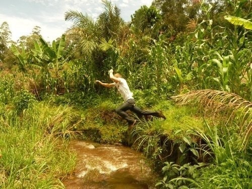 Miguel Borrás Yáñez