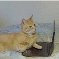 Alberto LópezFrancos