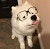 ProductHunt profile picture for @ghoul