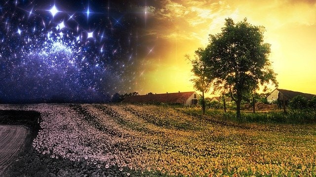 Gülşen Gümüşpala