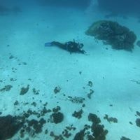 Dennis Shik Christensen