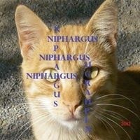 Miloud Mansour Ahmid