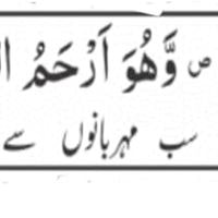 Shumaila Shumaila Shumaila